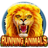 RTP CQ9  wiseplay138